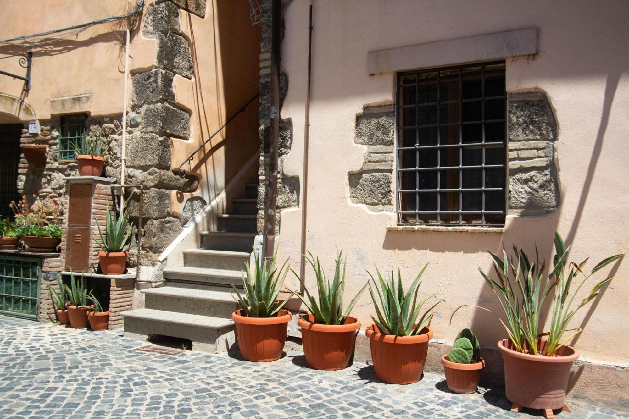 Apartmán Finestra Sul Borgo Trevignano Romano Exteriér fotografie